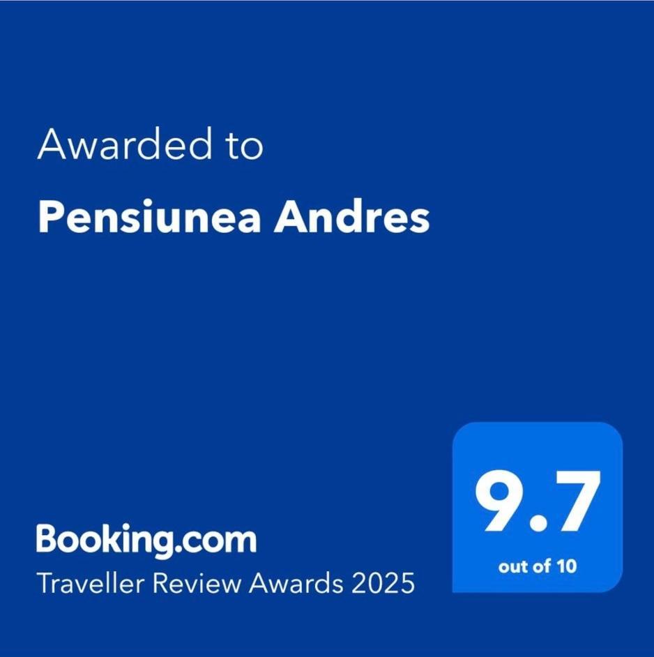 Pensiunea Andres 소바타 외부 사진